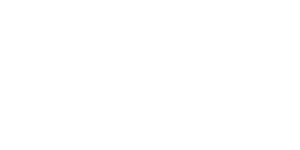 Insani